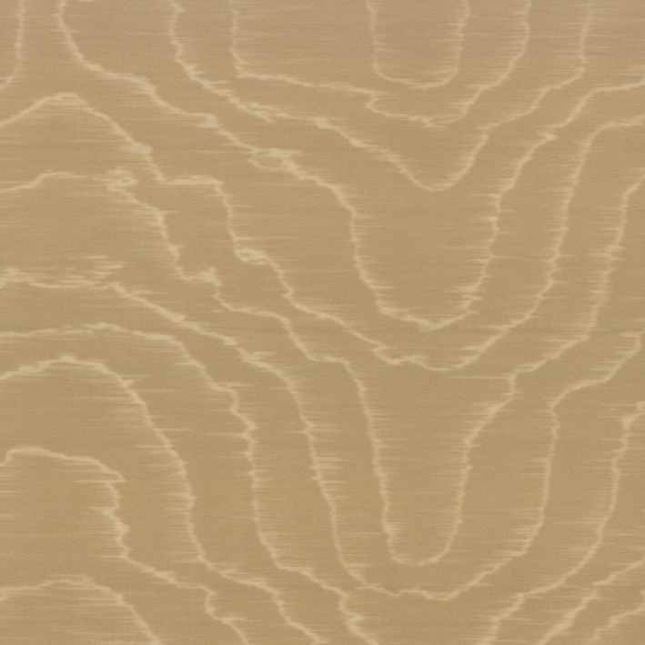 MOIRE SAUVAGE