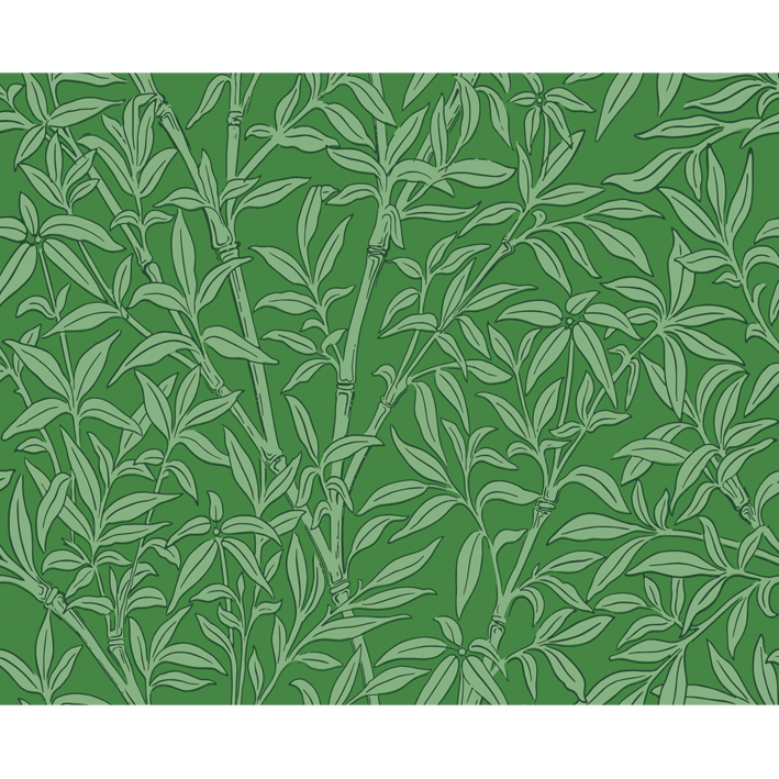 Bamboo Forest