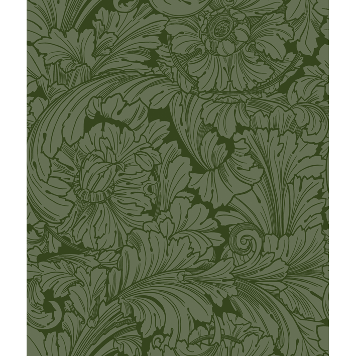 Acanthus