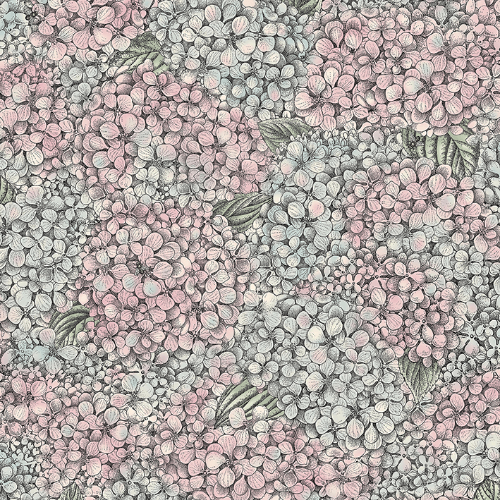 Ortensia