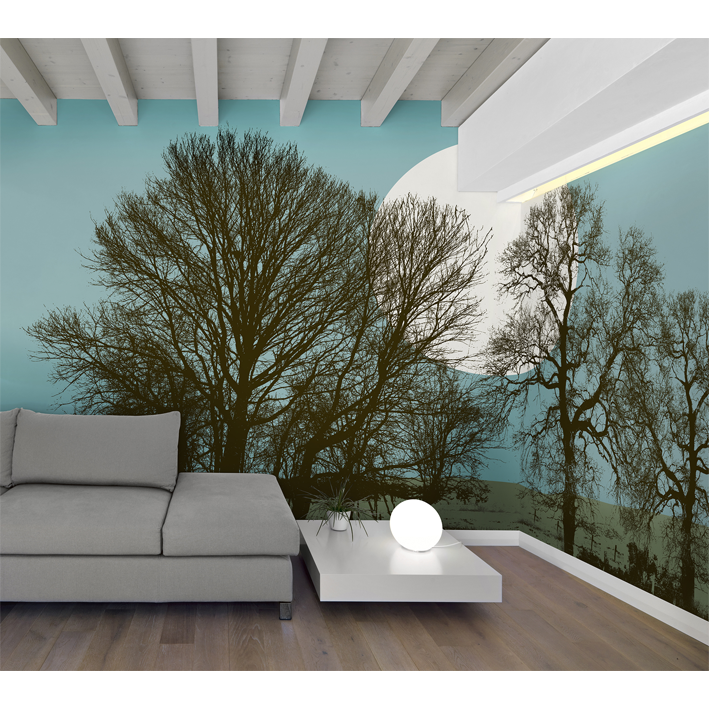 ARBRES EN HIVER JOUR