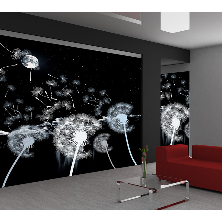 PISSENLITS BLANC SUR CLAIR DE LUNE