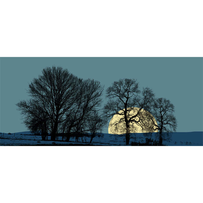 ARBRES ET LEVER DE LUNE