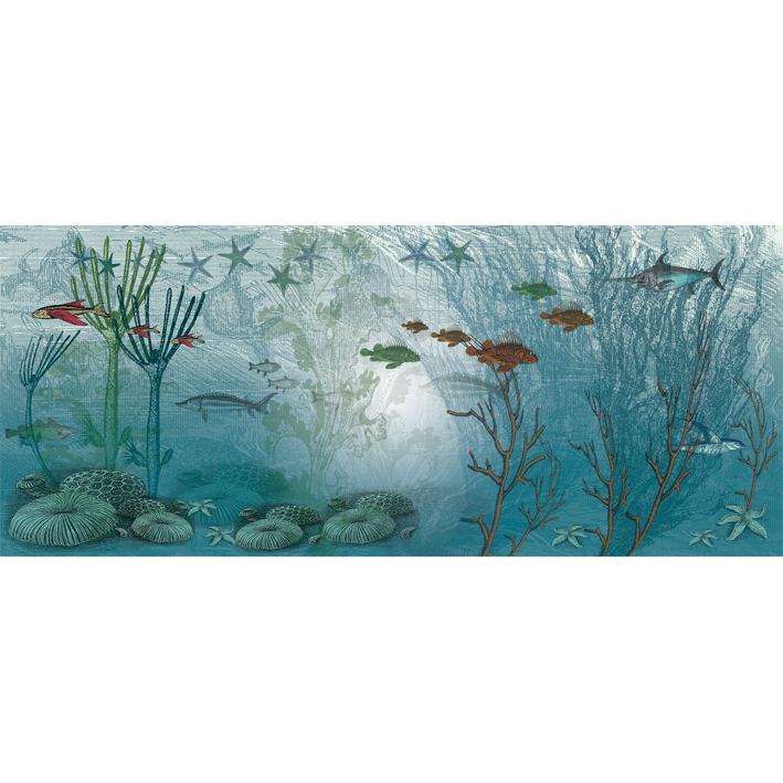 SEA BED 4