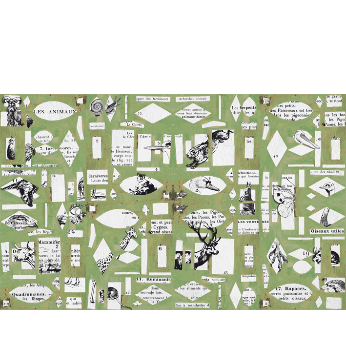 Les Animaux en Papier