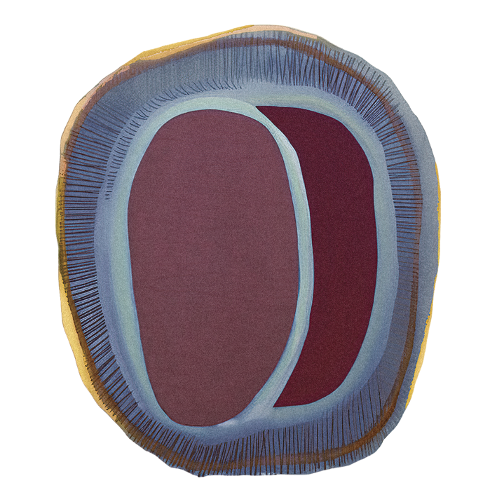 Bow Loop