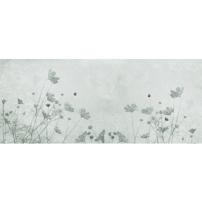 BOTANY STORIES